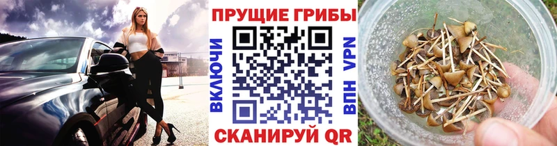 Галлюциногенные грибы мухоморы  цены   Салаир 
